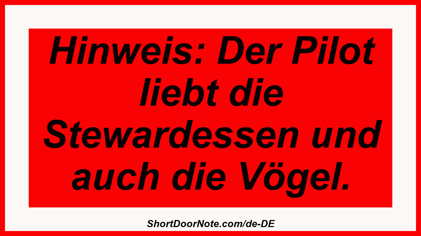 Hinweis: Der Pilot liebt die Stewardessen und auch die Vögel.
