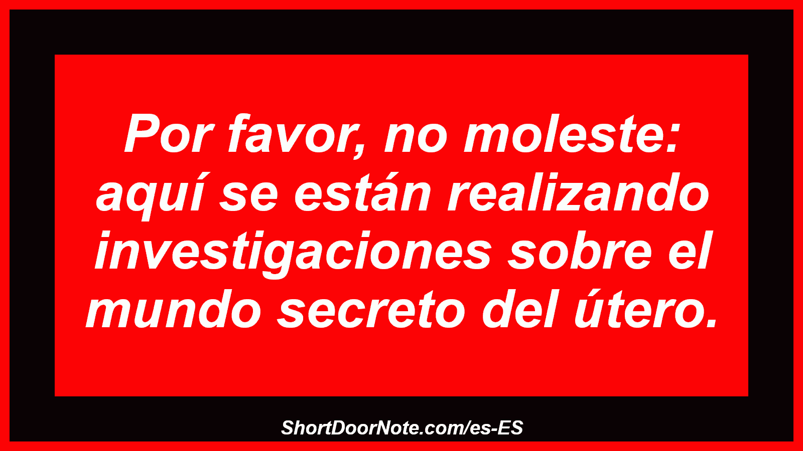Por favor, no moleste: aquí se están realizando investigaciones sobre el mundo secreto del útero.
