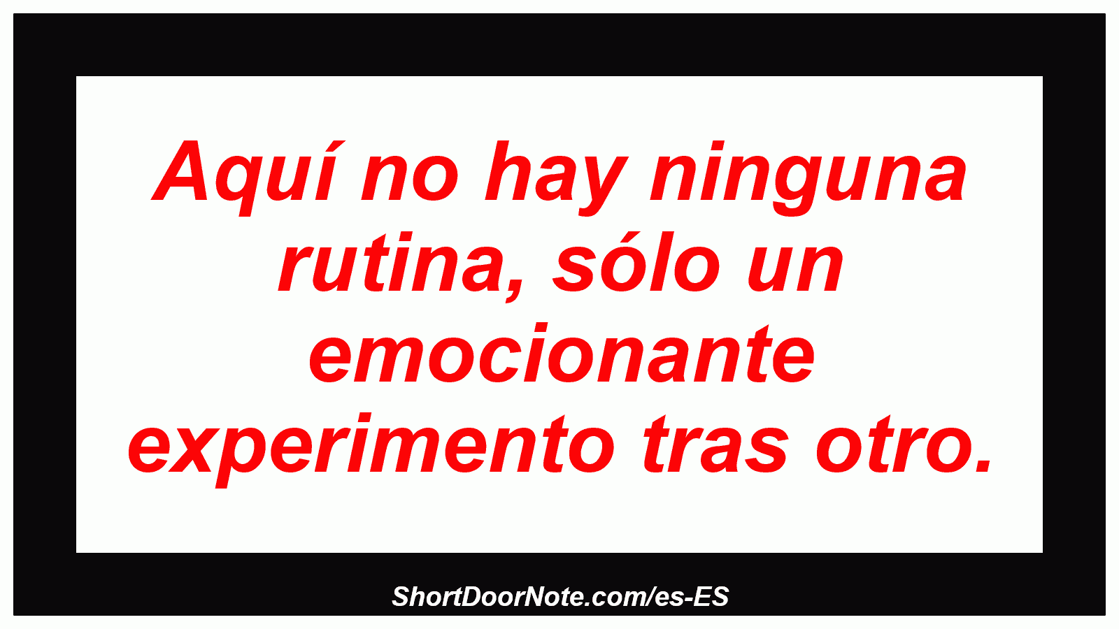 Aquí no hay ninguna rutina, sólo un emocionante experimento tras otro.
