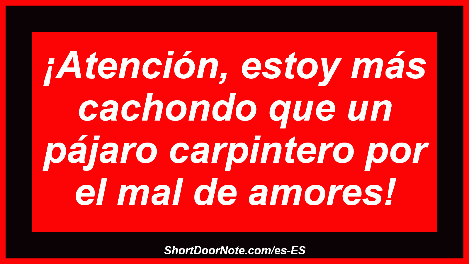 ¡Atención, estoy más cachondo que un pájaro carpintero por el mal de amores!
