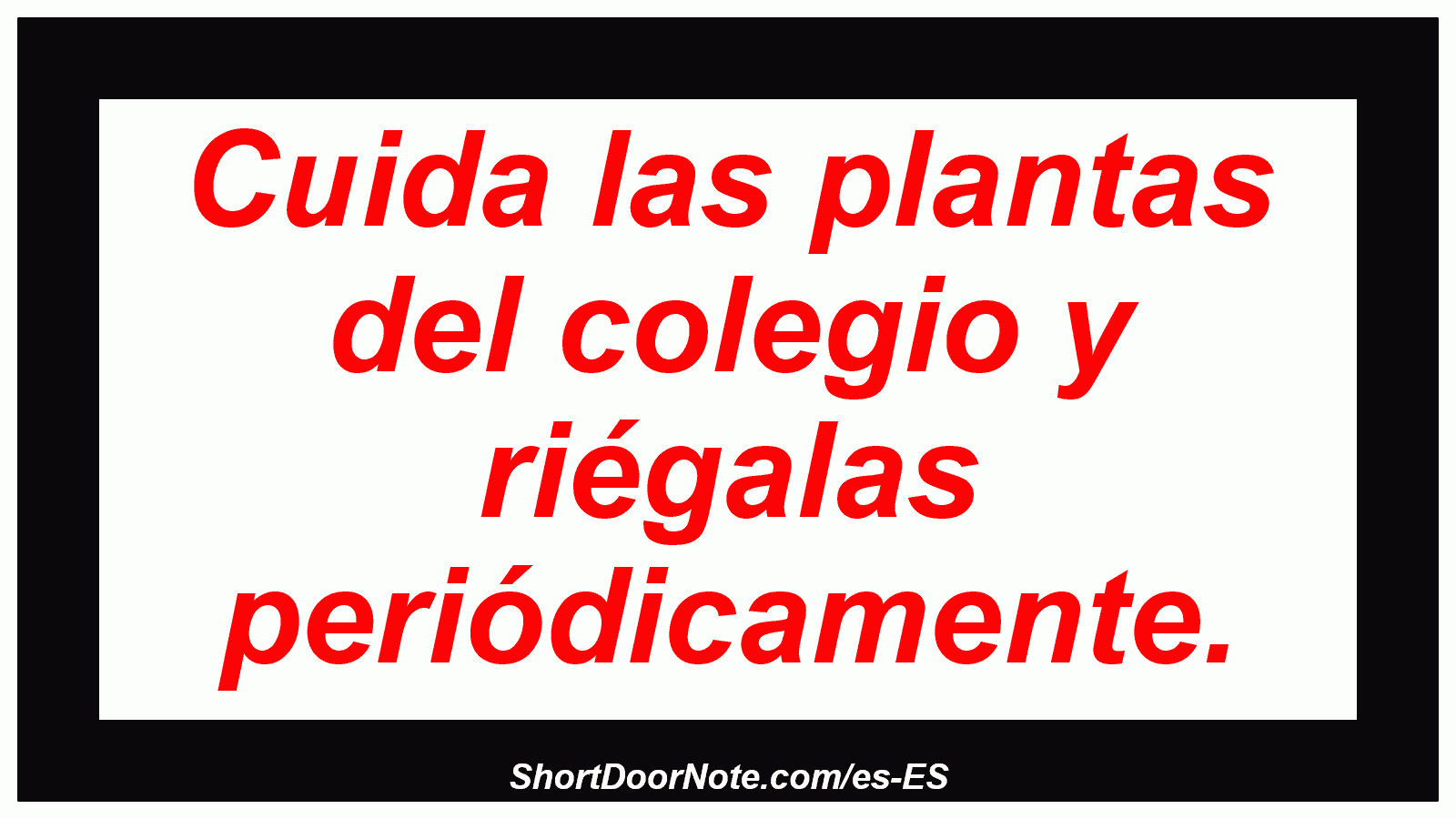 Cuida las plantas del colegio y riégalas periódicamente.
