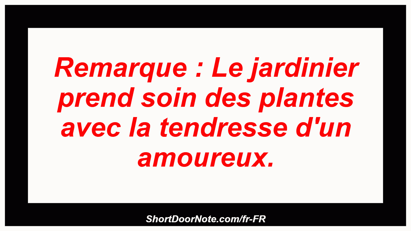 Remarque : Le jardinier prend soin des plantes avec la tendresse d'un amoureux.
