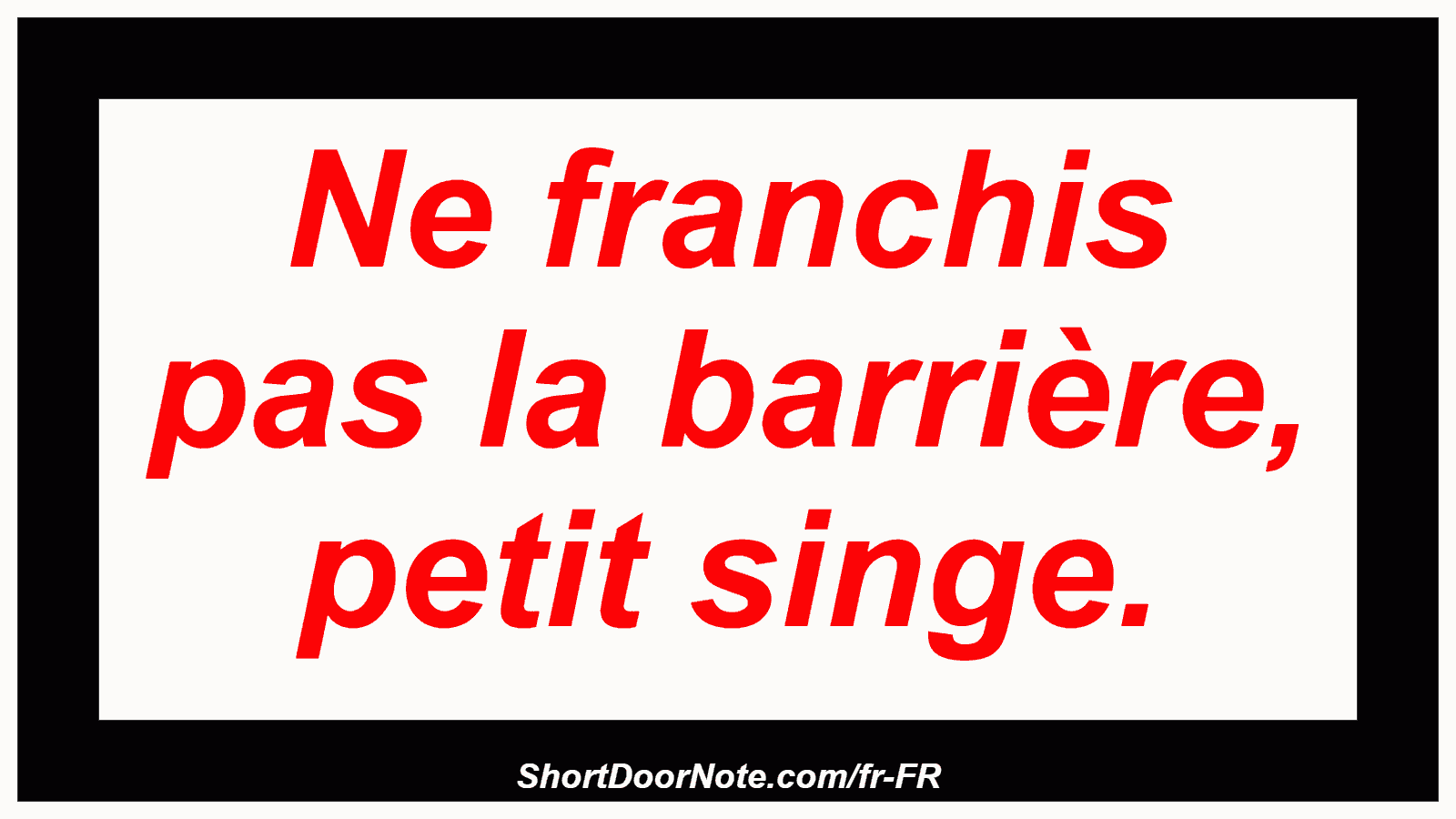Ne franchis pas la barrière, petit singe.
