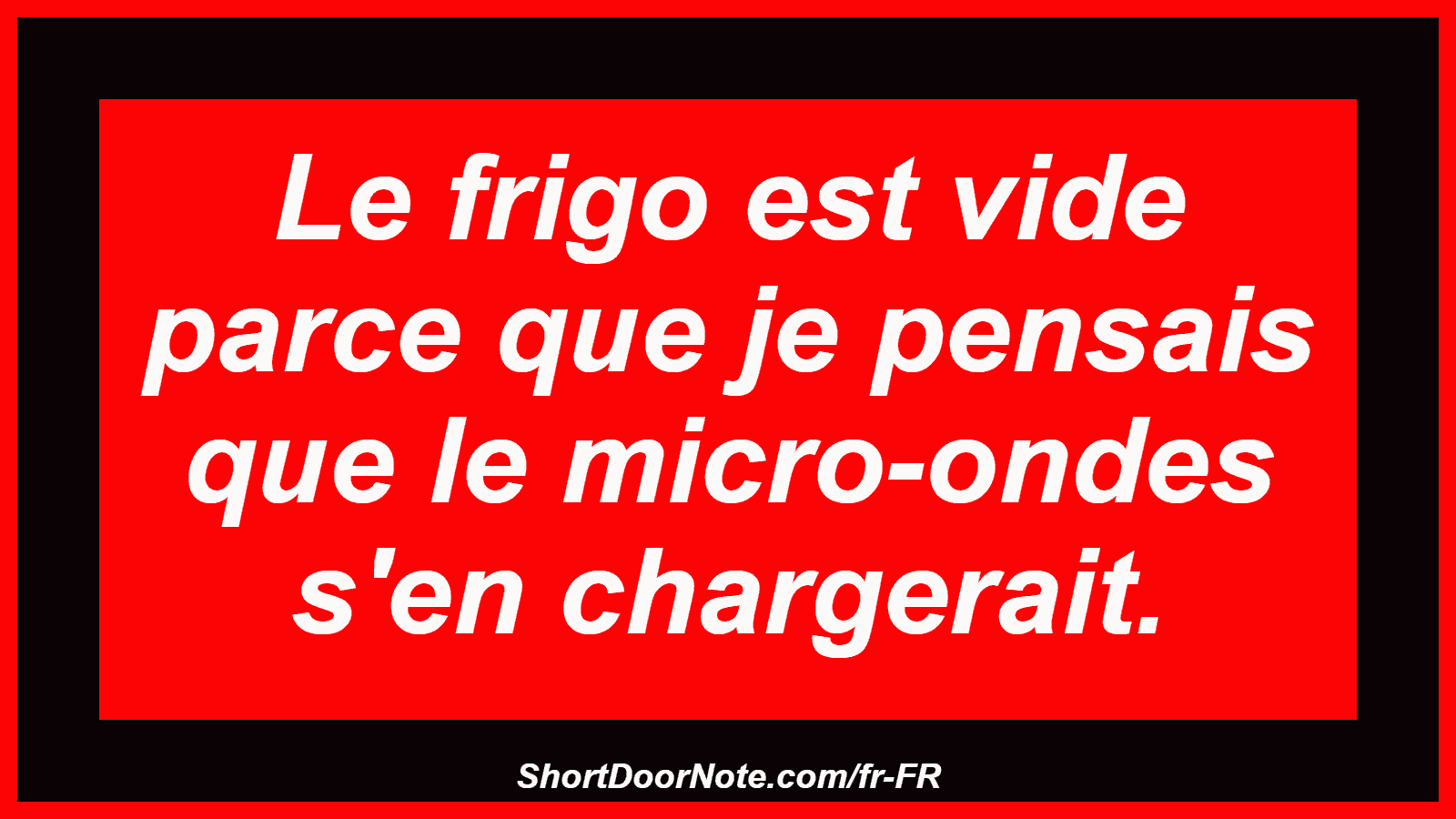 Le frigo est vide parce que je pensais que le micro-ondes s'en chargerait.
