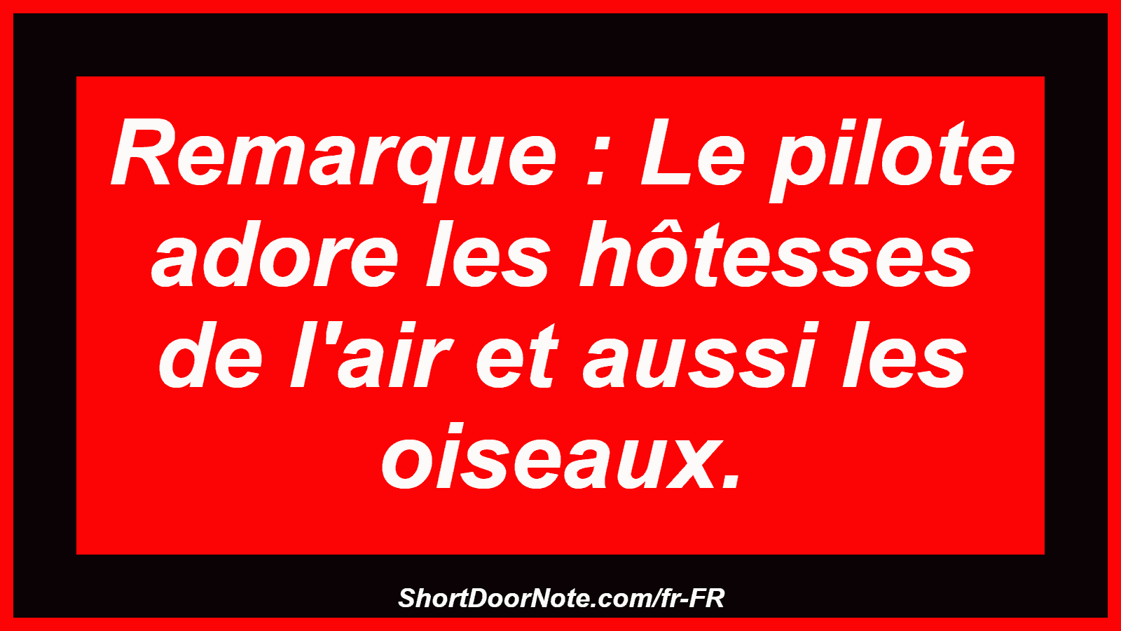Remarque : Le pilote adore les hôtesses de l'air et aussi les oiseaux.
