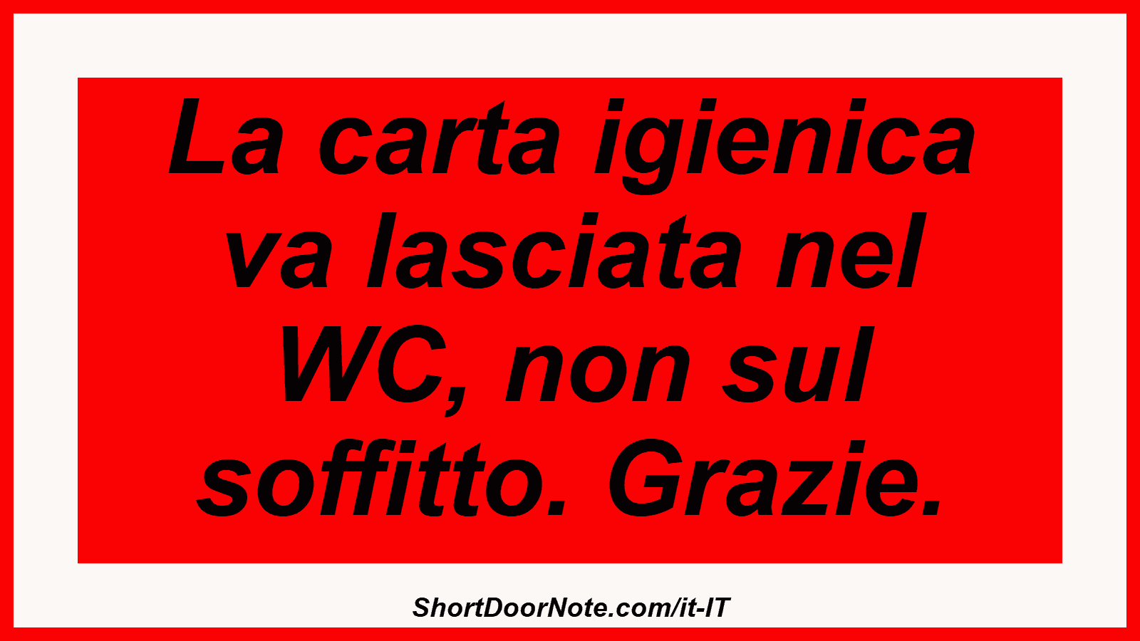 La carta igienica va lasciata nel WC, non sul soffitto. Grazie.
