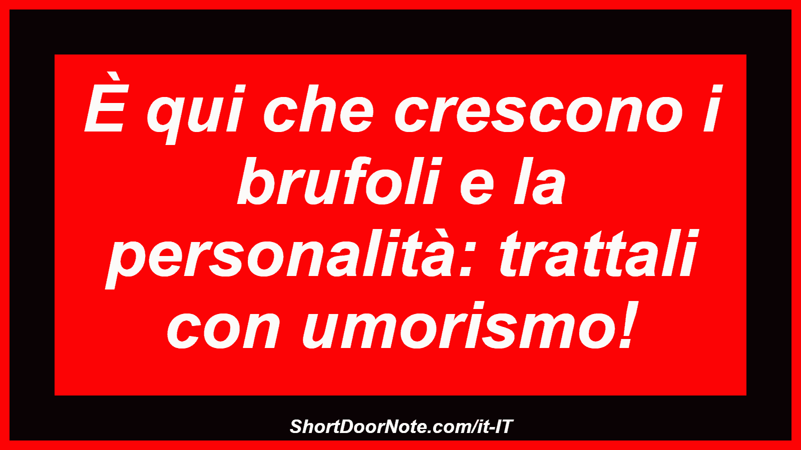 È qui che crescono i brufoli e la personalità: trattali con umorismo!
