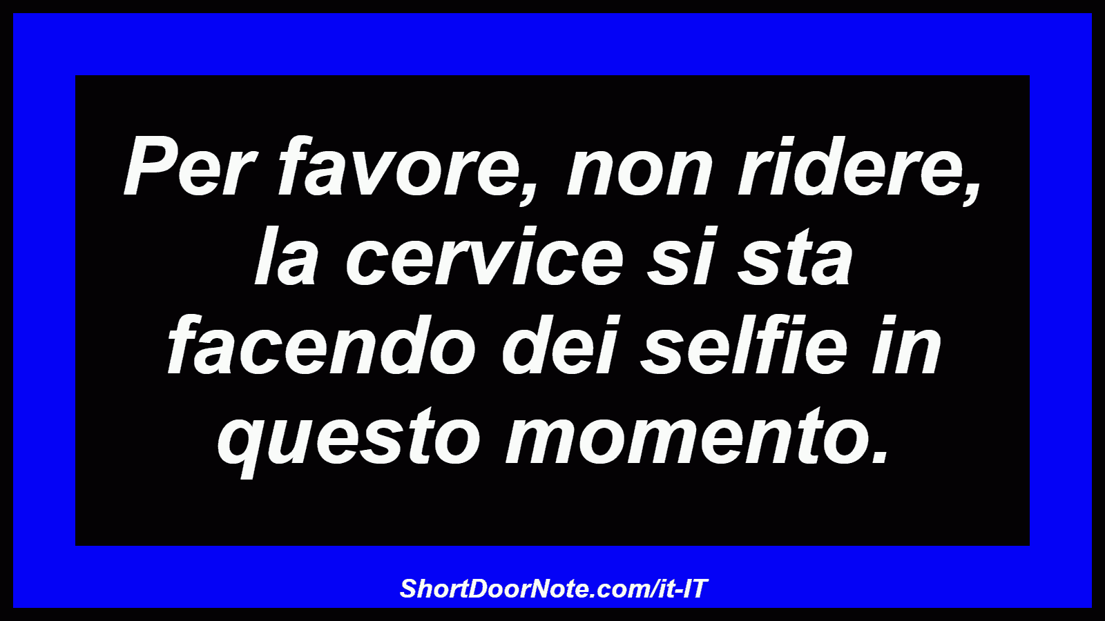 Per favore, non ridere, la cervice si sta facendo dei selfie in questo momento.
