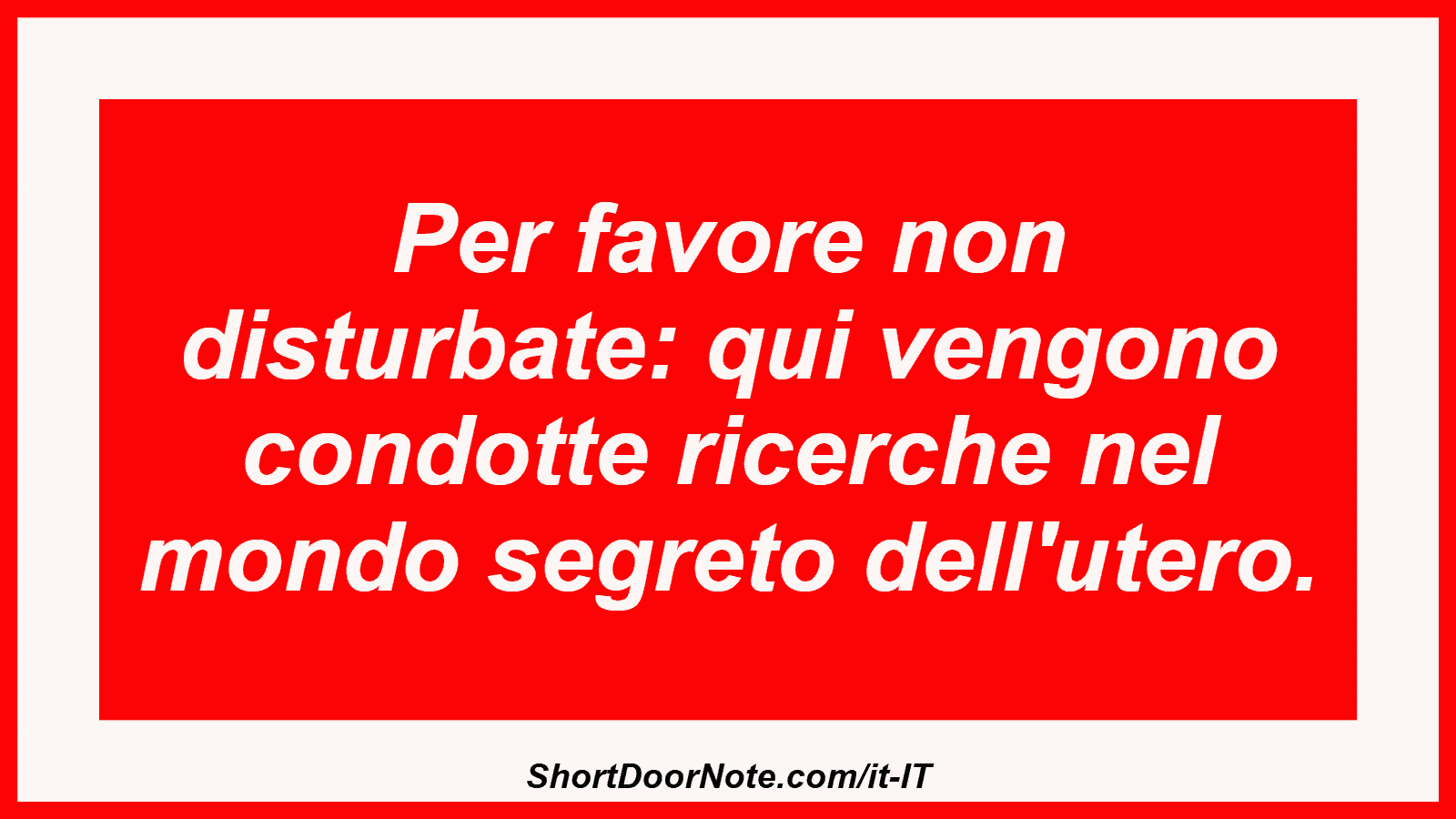 Per favore non disturbate: qui vengono condotte ricerche nel mondo segreto dell'utero.
