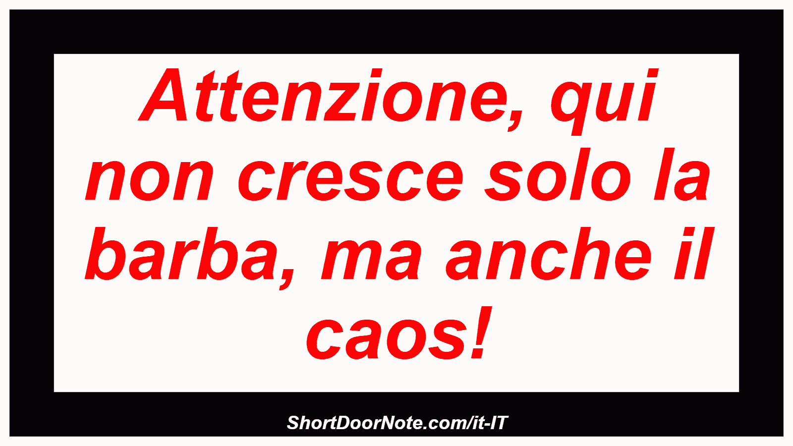 Attenzione, qui non cresce solo la barba, ma anche il caos!
