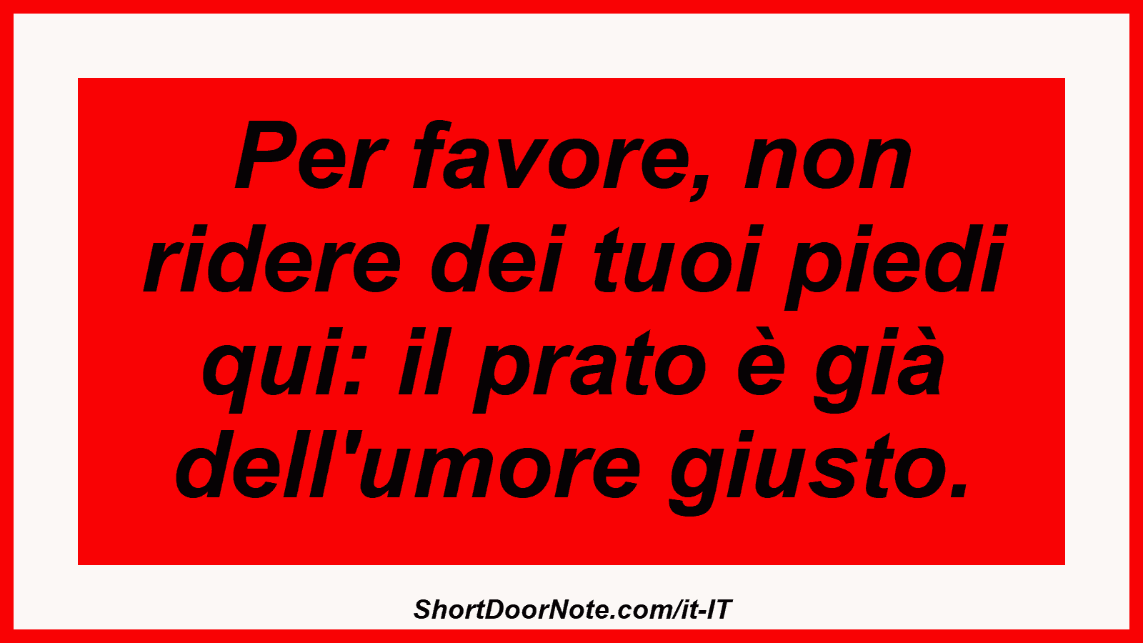 Per favore, non ridere dei tuoi piedi qui: il prato è già dell'umore giusto.
