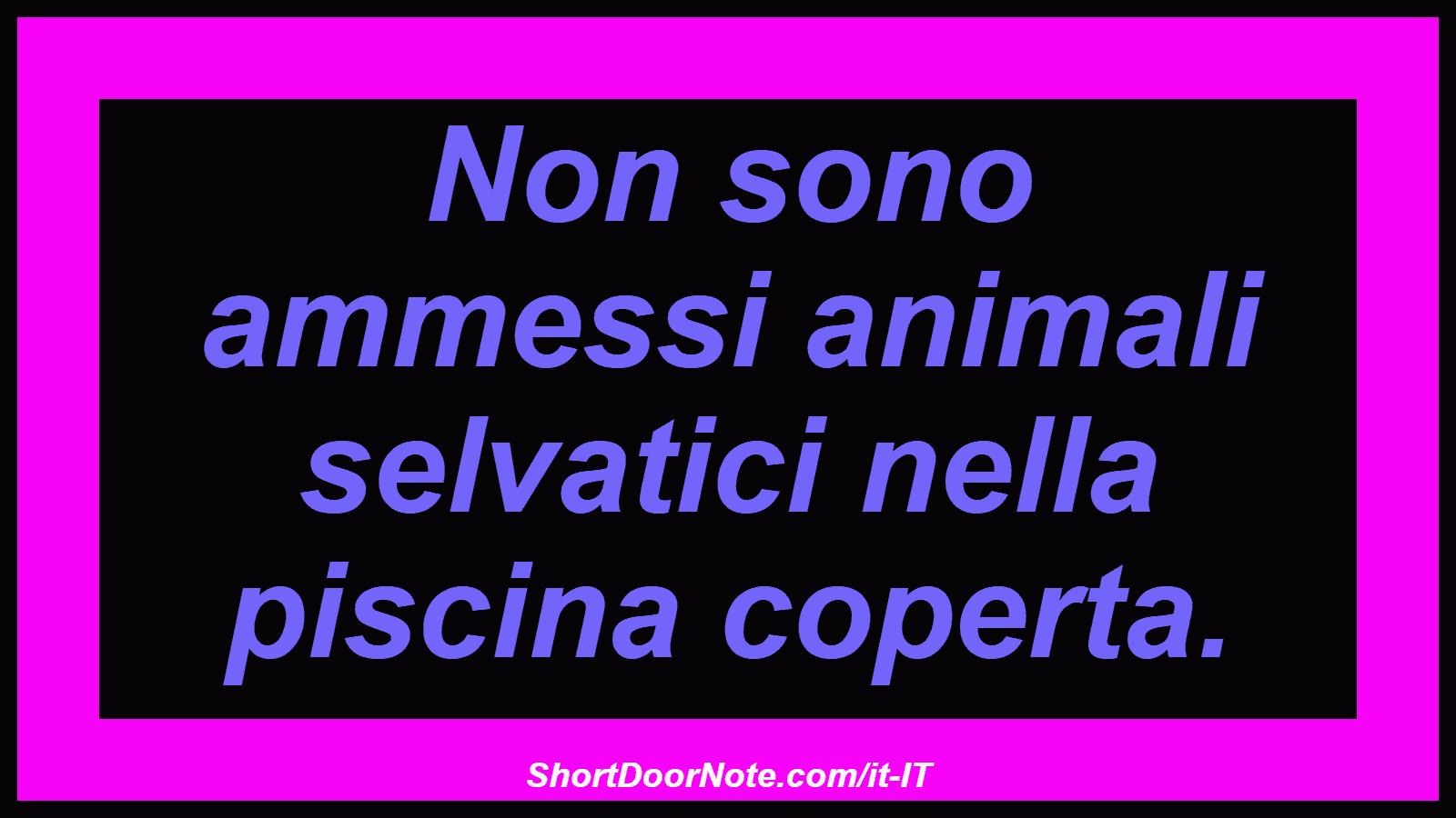 Non sono ammessi animali selvatici nella piscina coperta.
