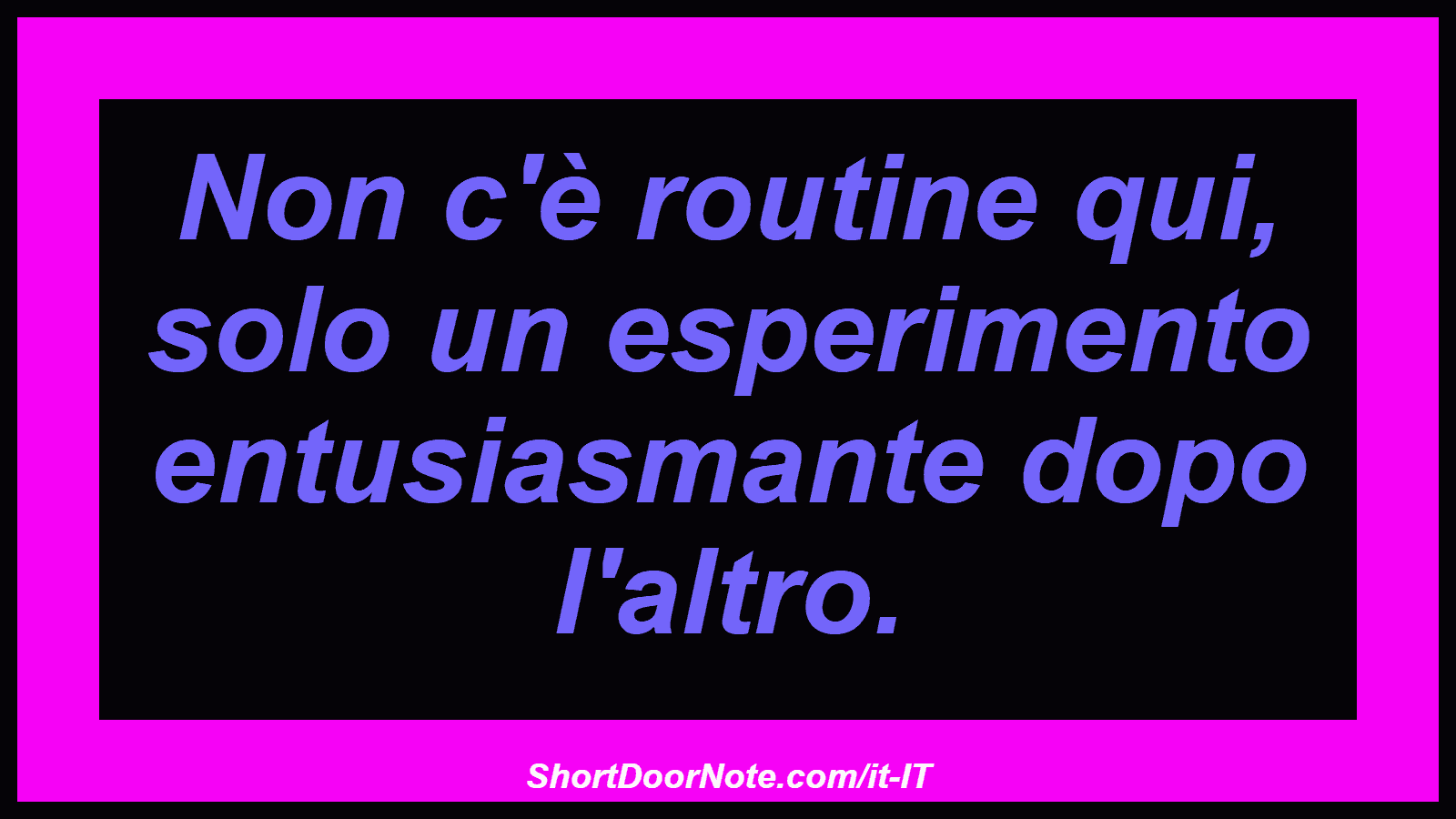 Non c'è routine qui, solo un esperimento entusiasmante dopo l'altro.
