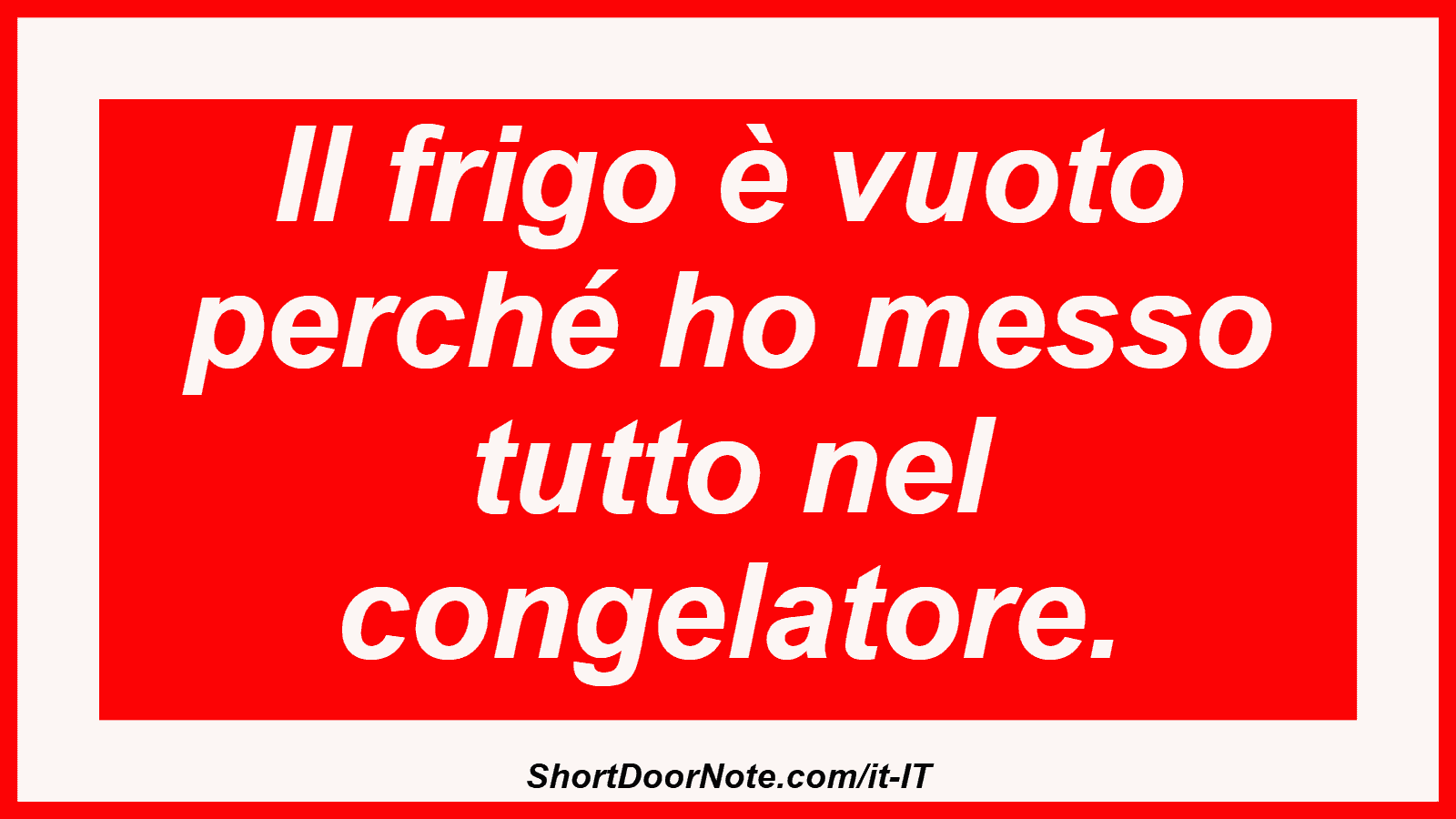 Il frigo è vuoto perché ho messo tutto nel congelatore.

