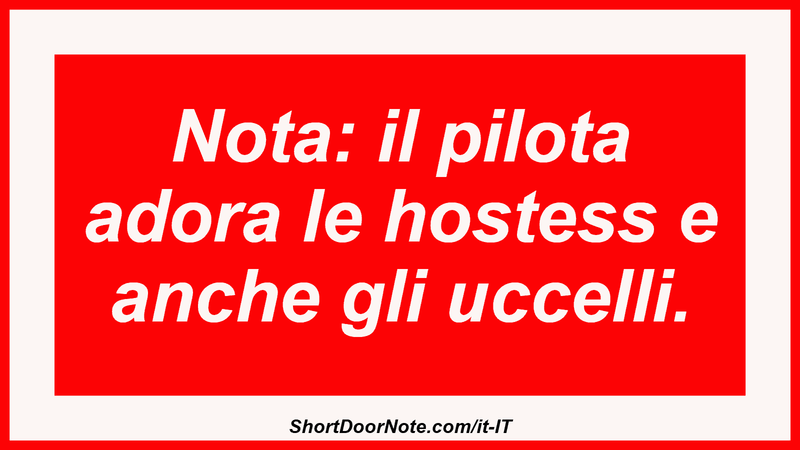 Nota: il pilota adora le hostess e anche gli uccelli.
