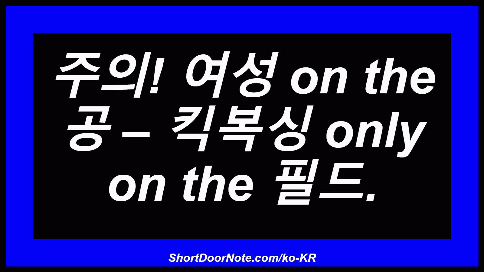 주의! 여성 on the 공 – 킥복싱 only on the 필드.

