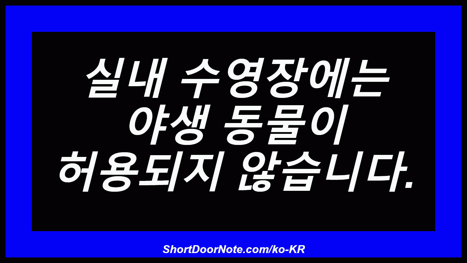 실내 수영장에는 야생 동물이 허용되지 않습니다.
