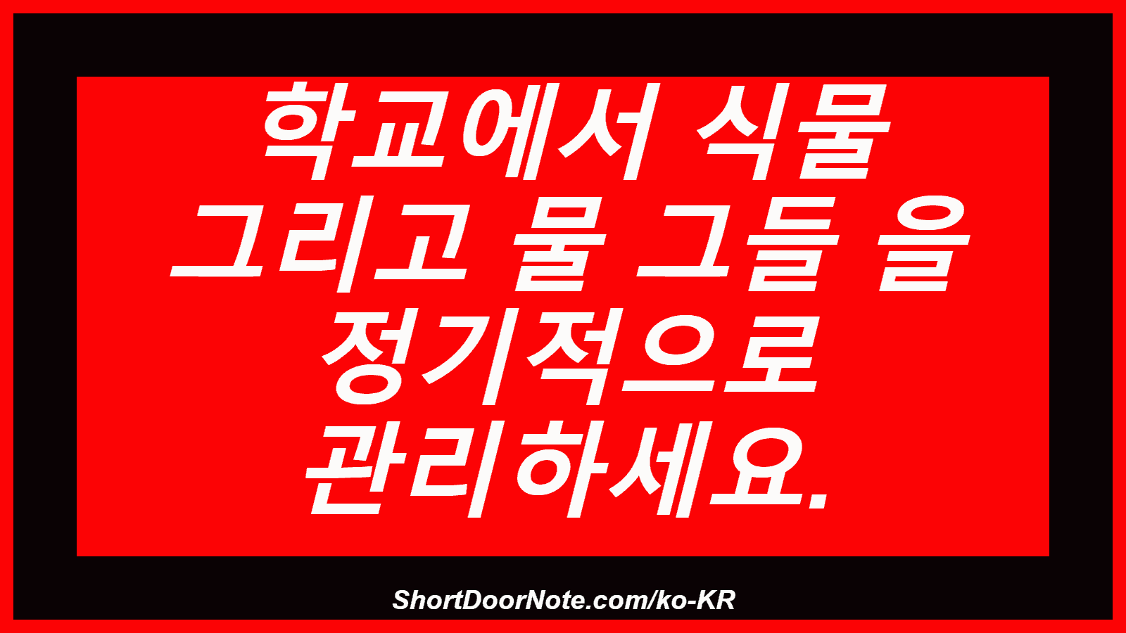 학교에서 식물 그리고 물 그들 을 정기적으로 관리하세요.
