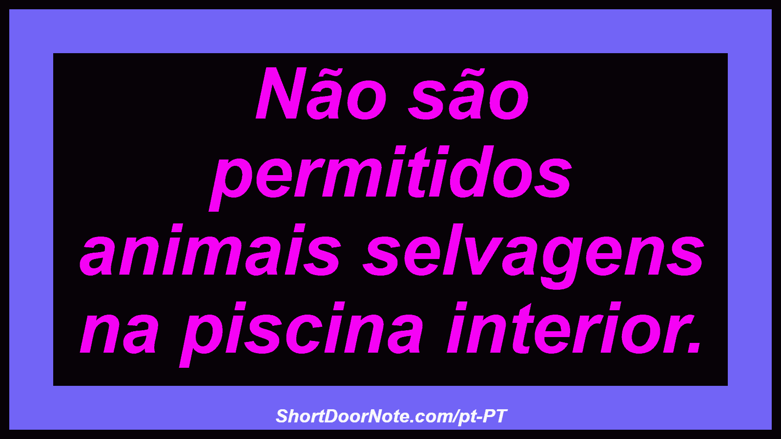 Não são permitidos animais selvagens na piscina interior.
