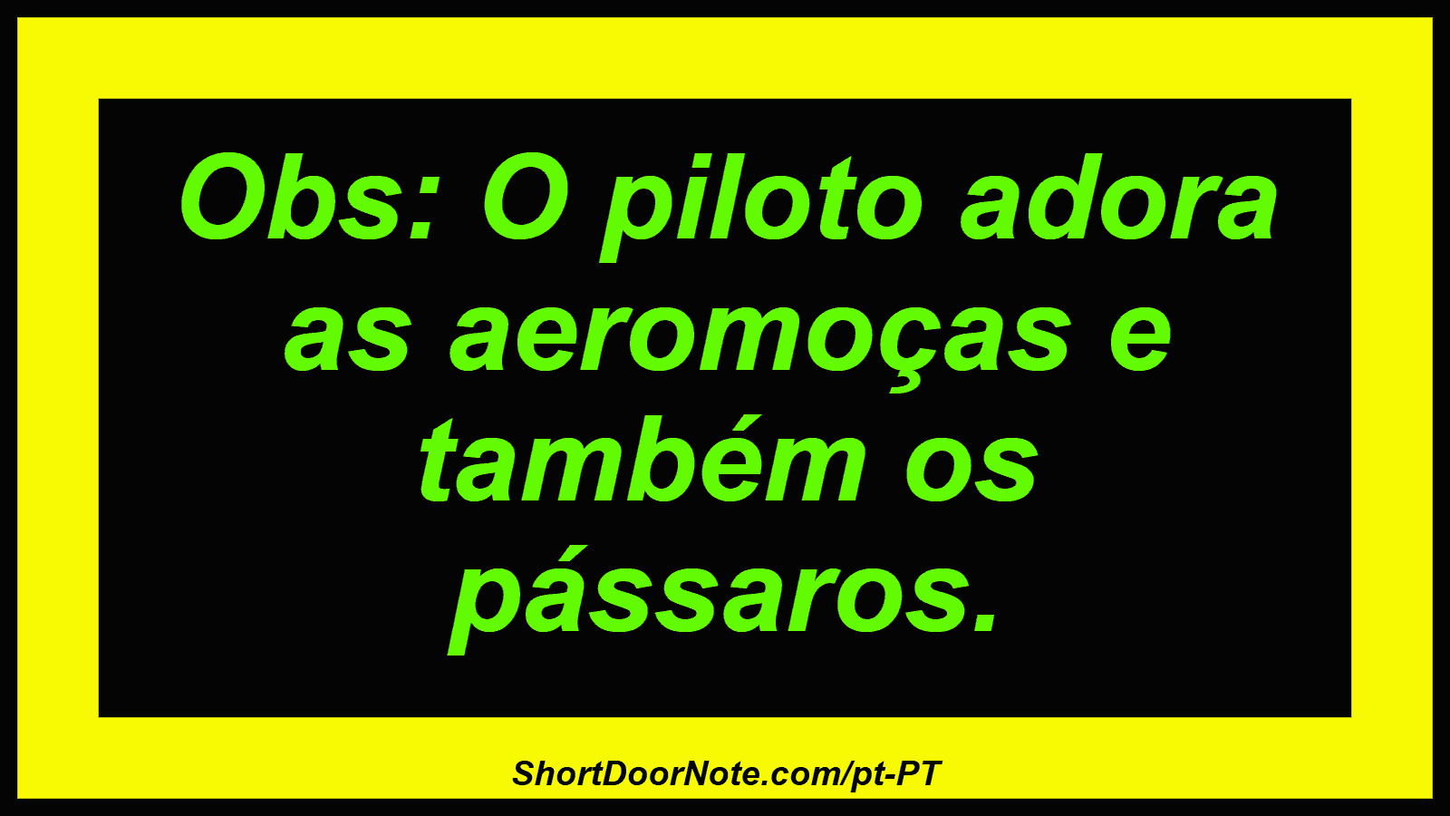 Obs: O piloto adora as aeromoças e também os pássaros. 
