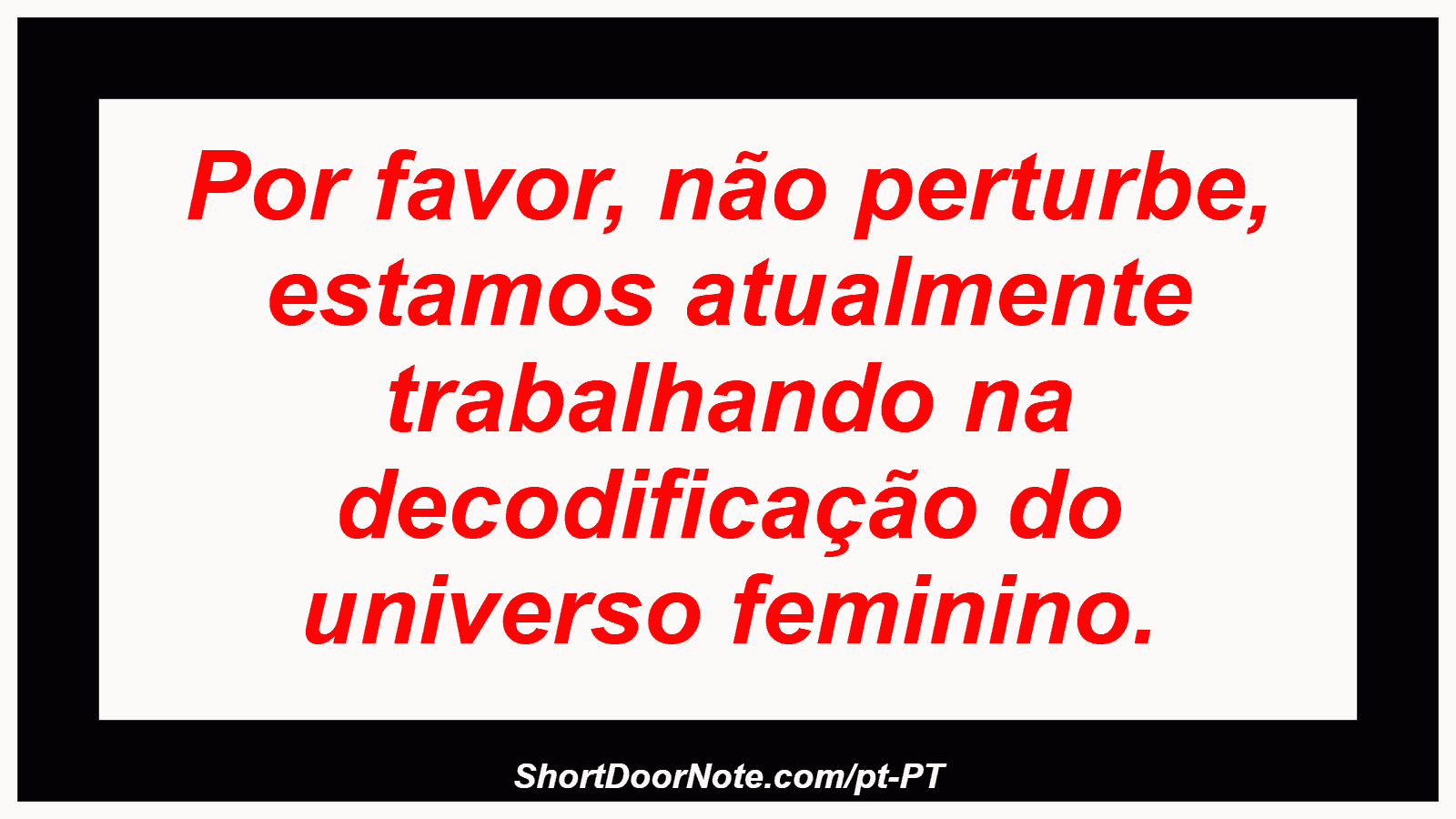 Por favor, não perturbe, estamos atualmente trabalhando na decodificação do universo feminino. 
