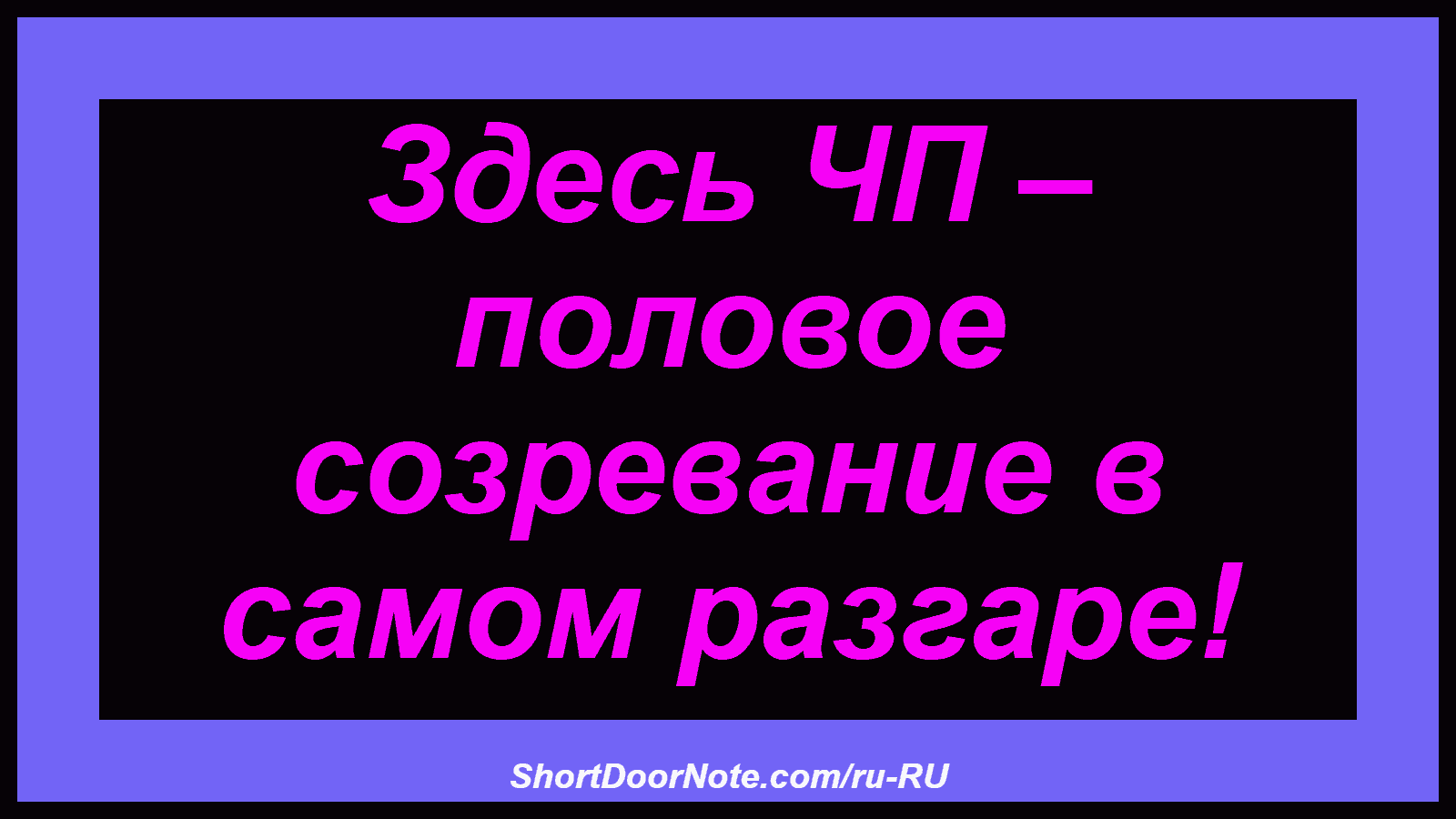 Здесь ЧП – половое созревание в самом разгаре!
