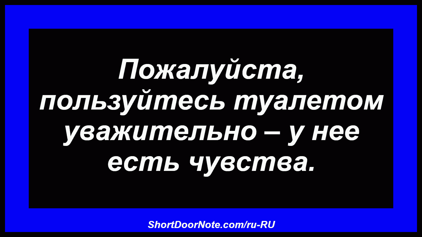 Пожалуйста, пользуйтесь туалетом уважительно – у нее есть чувства.
