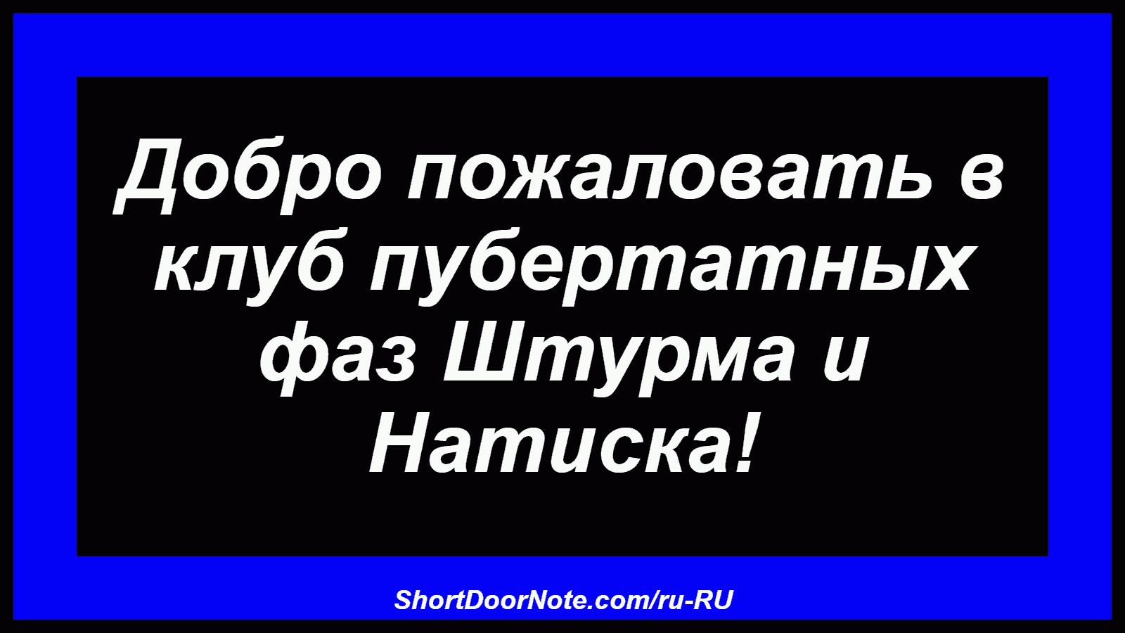 Добро пожаловать в клуб пубертатных фаз Штурма и Натиска!
