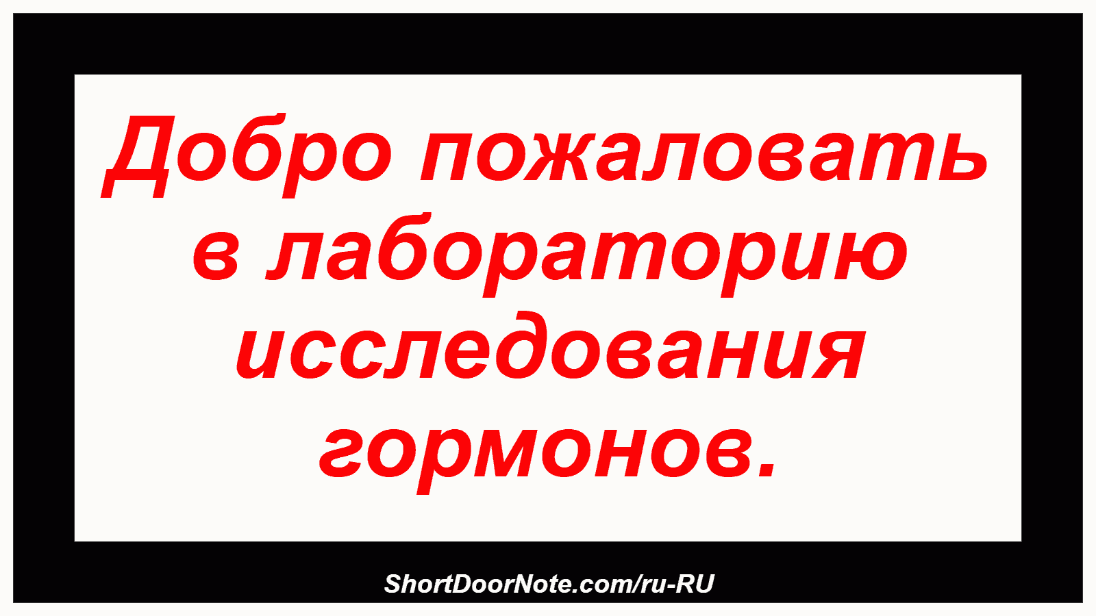 Добро пожаловать в лабораторию исследования гормонов.
