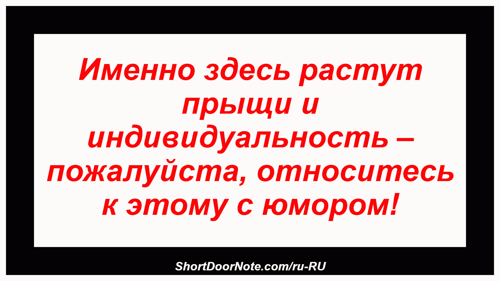 Именно здесь растут прыщи и индивидуальность – пожалуйста, относитесь к этому с юмором!
