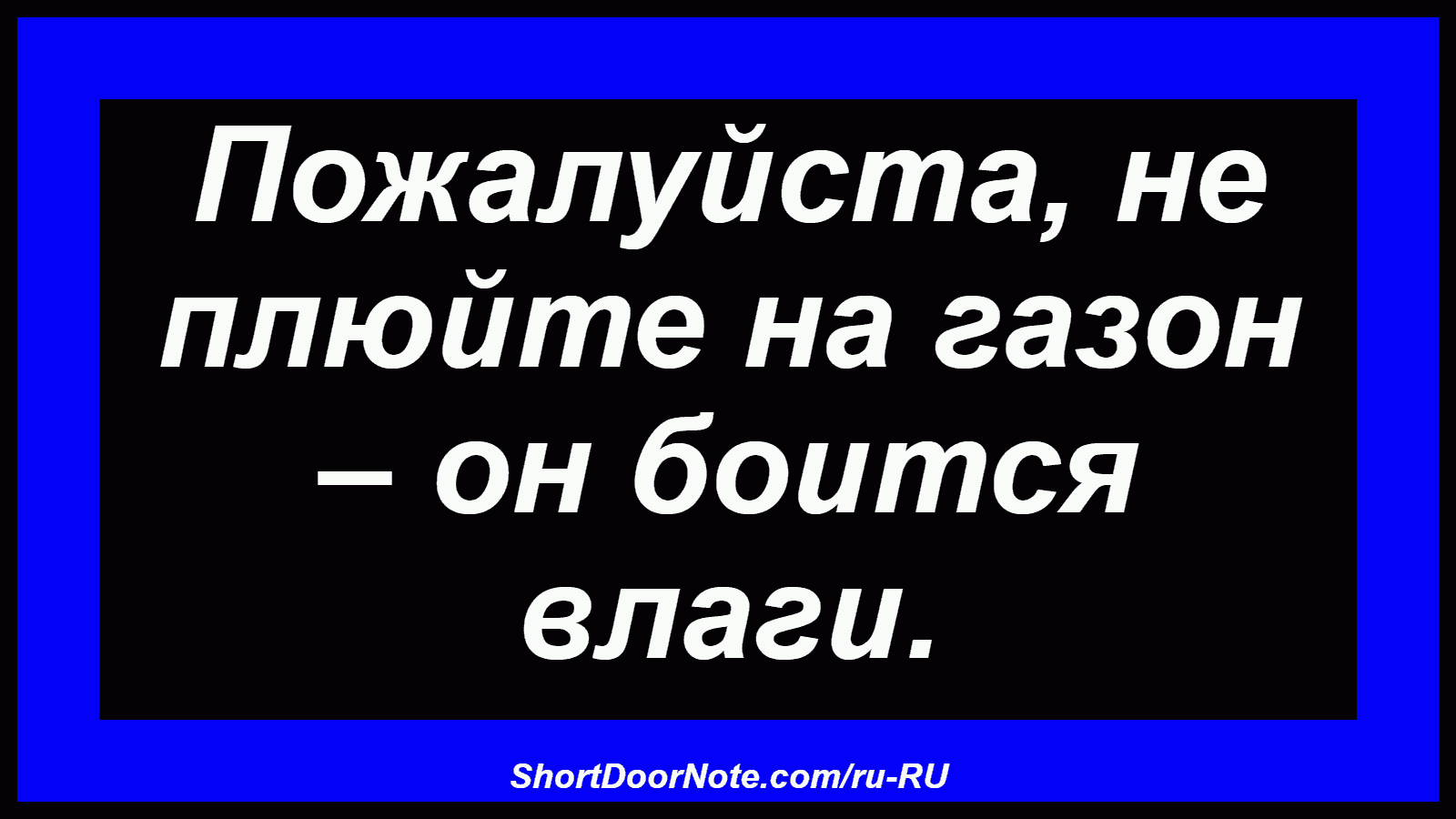 Пожалуйста, не плюйте на газон – он боится влаги.
