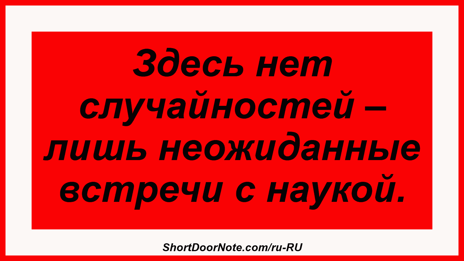 Здесь нет случайностей – лишь неожиданные встречи с наукой.
