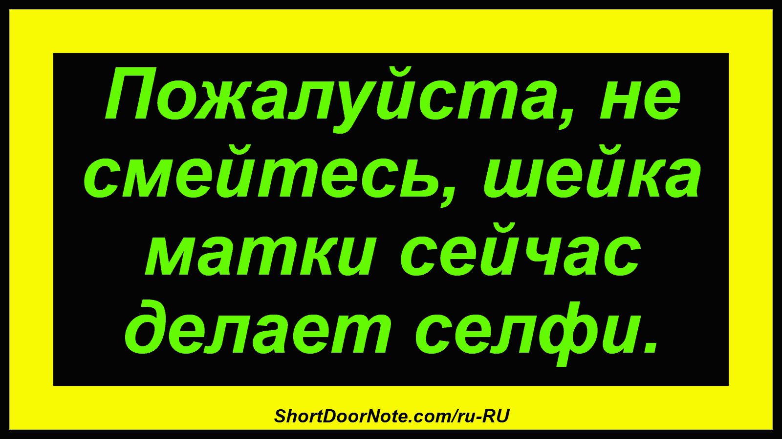Пожалуйста, не смейтесь, шейка матки сейчас делает селфи.
