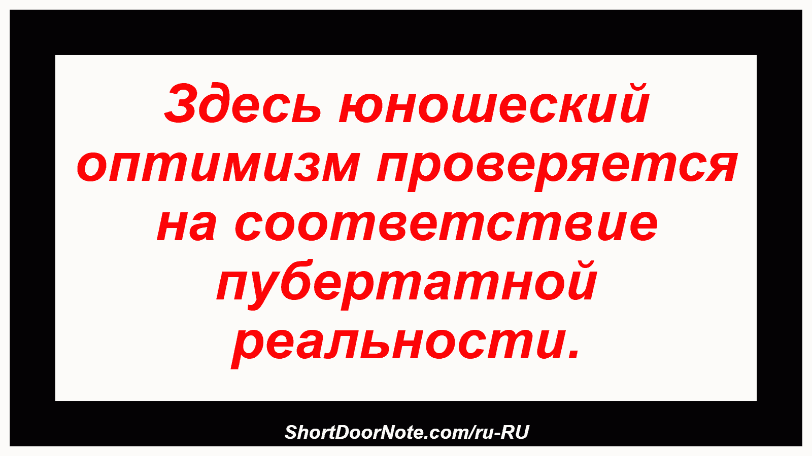 Здесь юношеский оптимизм проверяется на соответствие пубертатной реальности.
