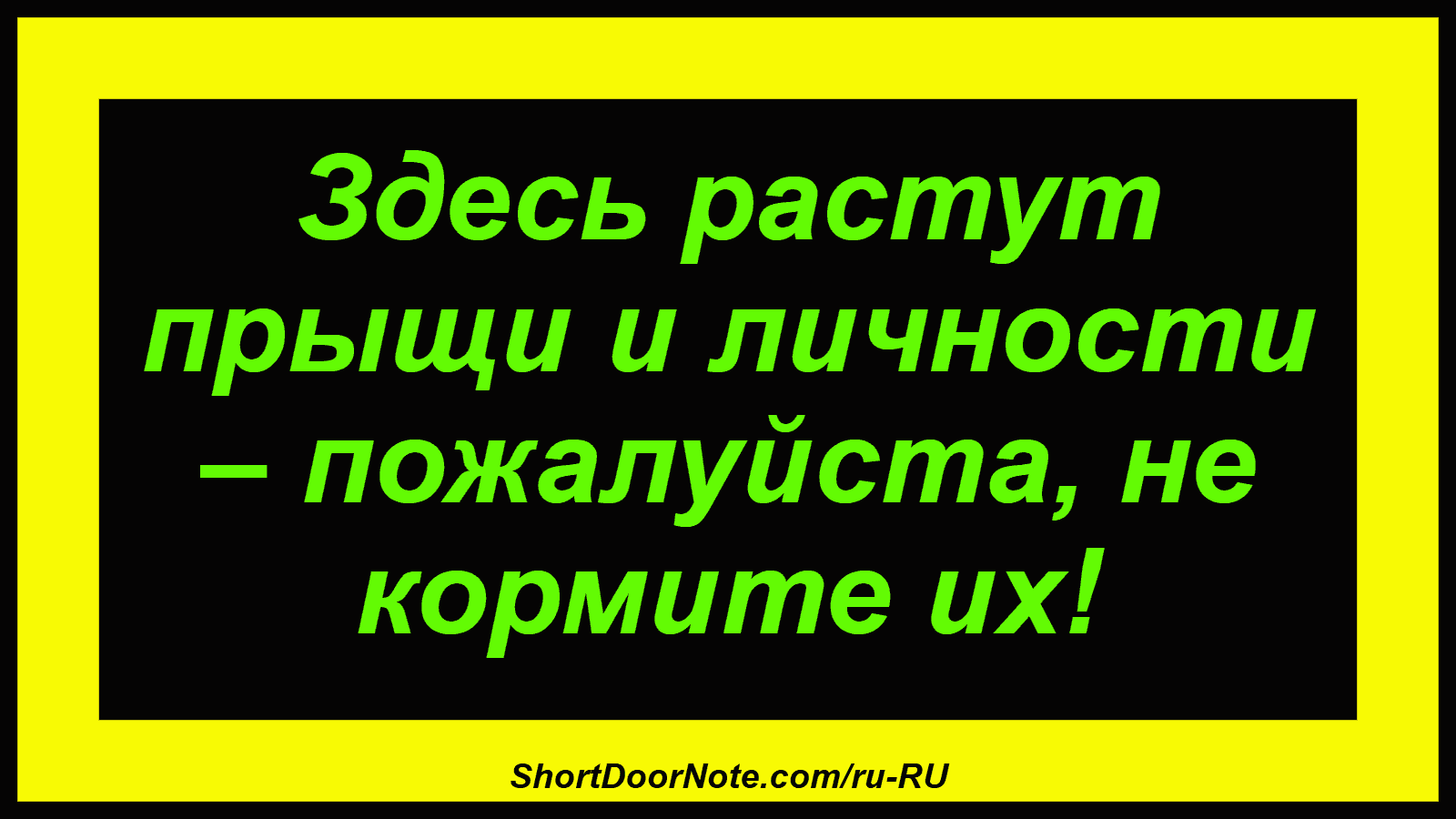Здесь растут прыщи и личности – пожалуйста, не кормите их!
