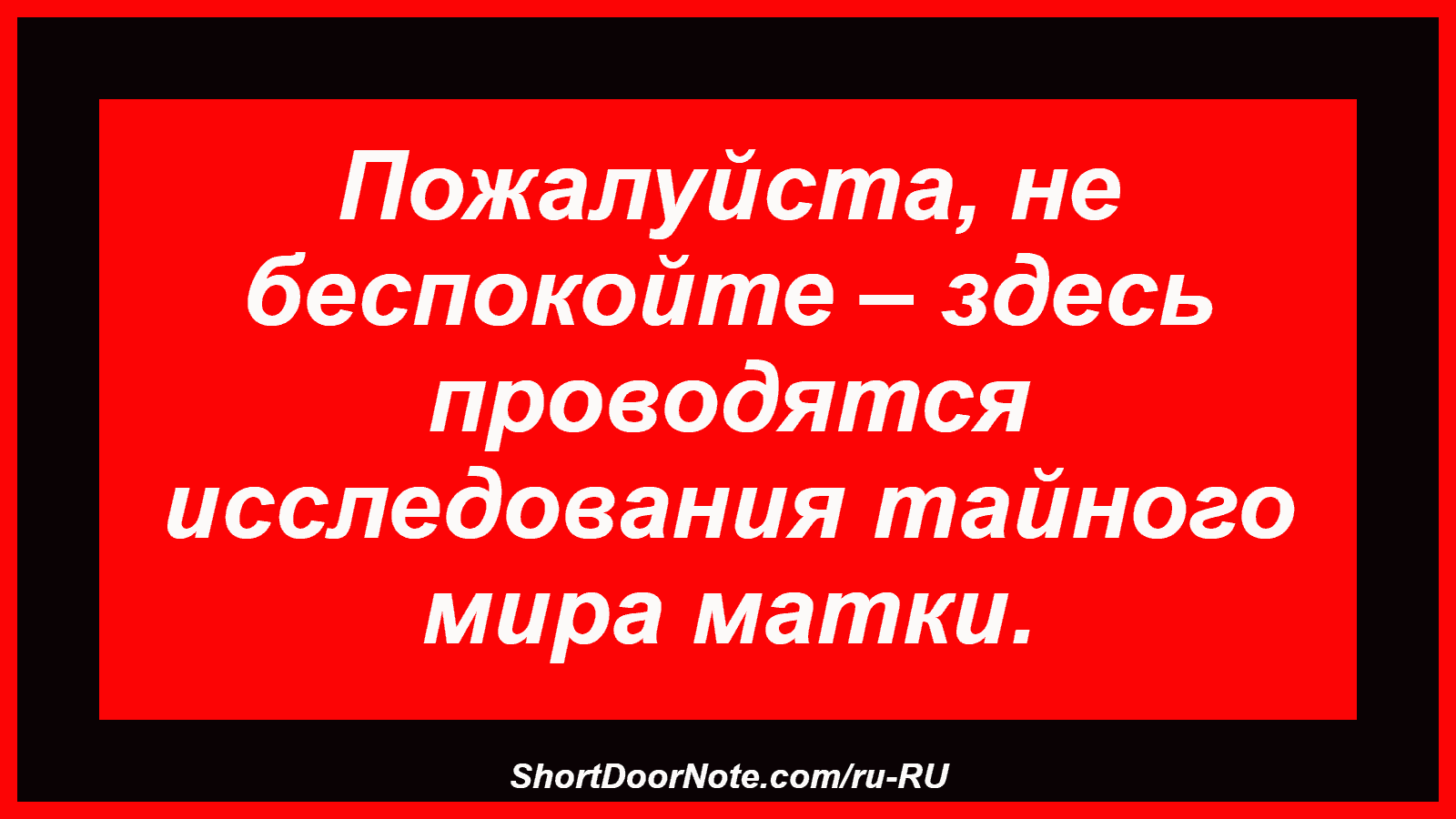 Пожалуйста, не беспокойте – здесь проводятся исследования тайного мира матки.

