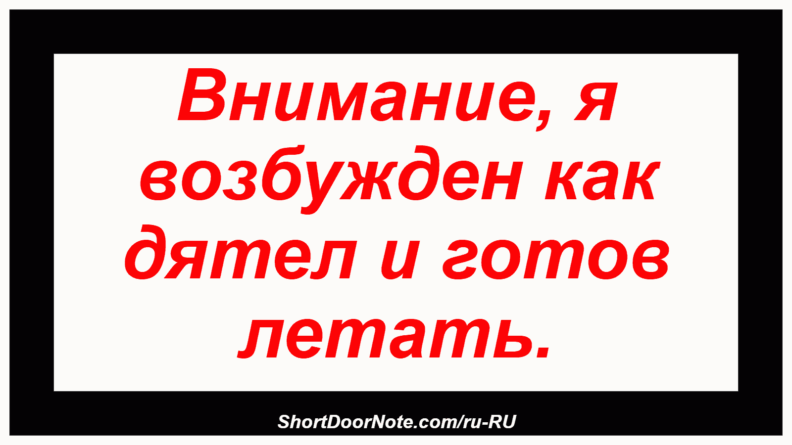 Внимание, я возбужден как дятел и готов летать.

