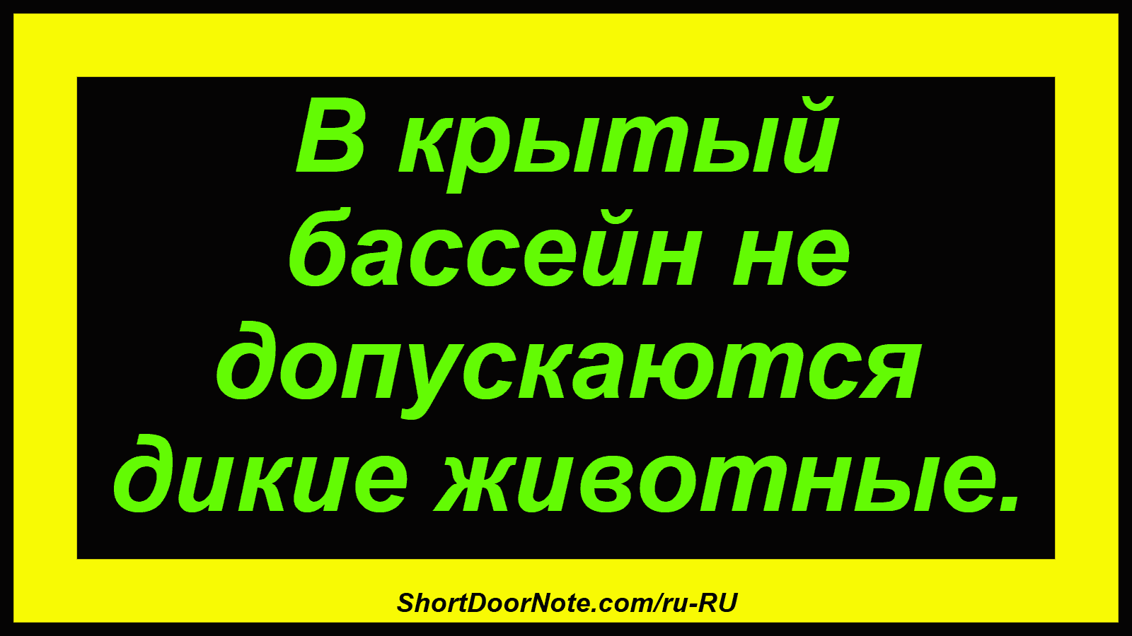 В крытый бассейн не допускаются дикие животные.
