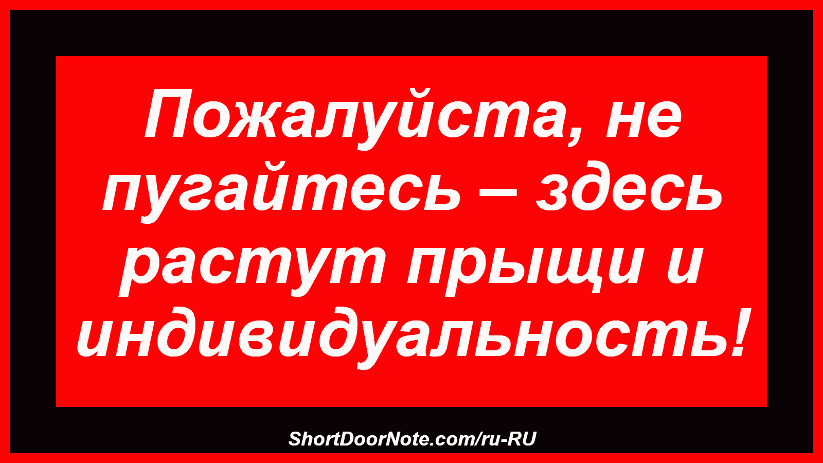 Пожалуйста, не пугайтесь – здесь растут прыщи и индивидуальность!

