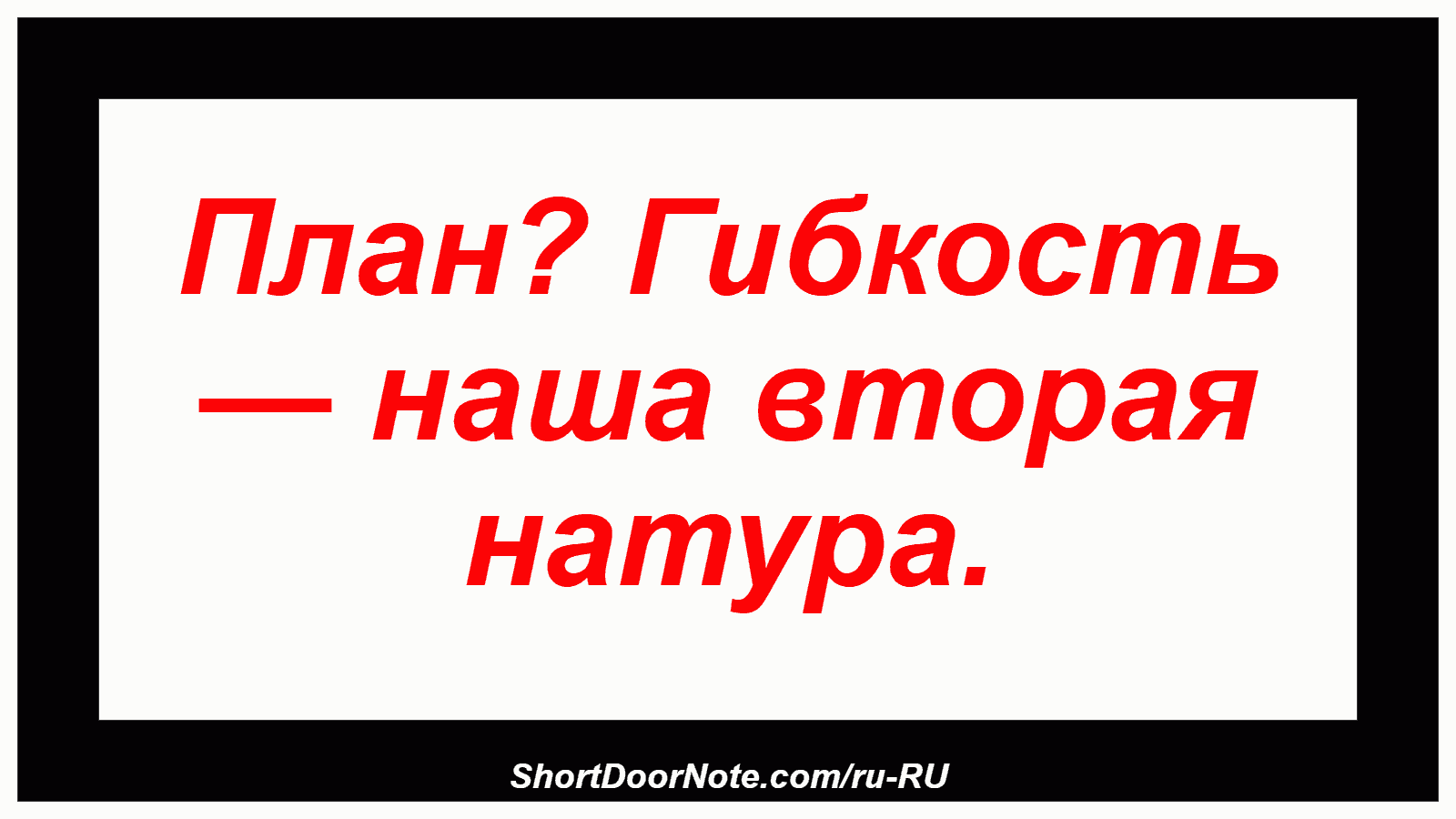 План? Гибкость — наша вторая натура.
