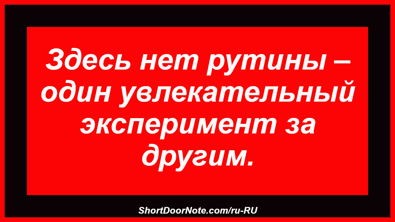 Здесь нет рутины – один увлекательный эксперимент за другим.
