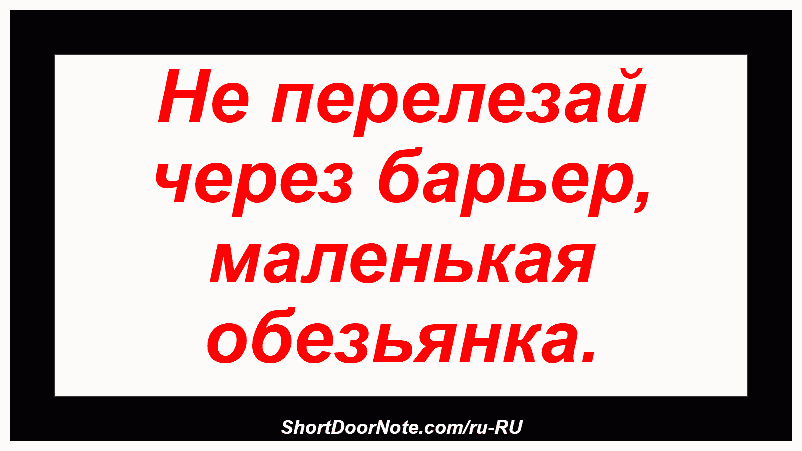 Не перелезай через барьер, маленькая обезьянка.
