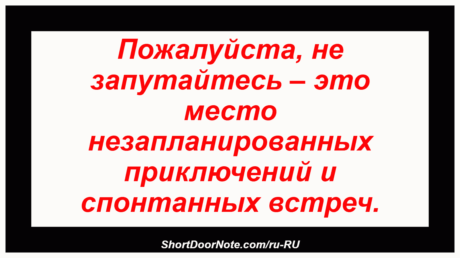 Пожалуйста, не запутайтесь – это место незапланированных приключений и спонтанных встреч.
