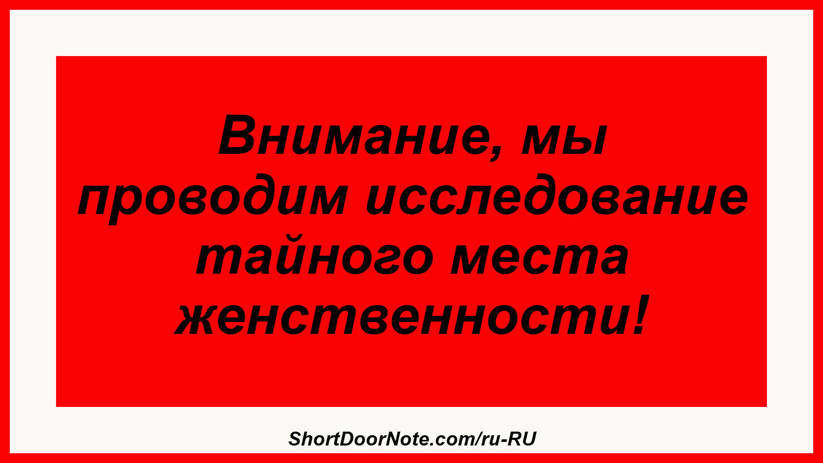 Внимание, мы проводим исследование тайного места женственности!
