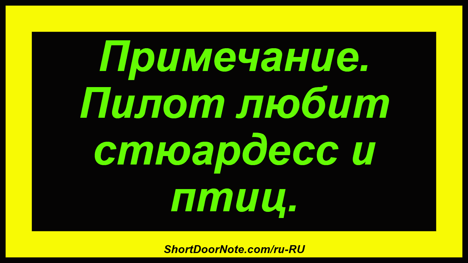Примечание. Пилот любит стюардесс и птиц.
