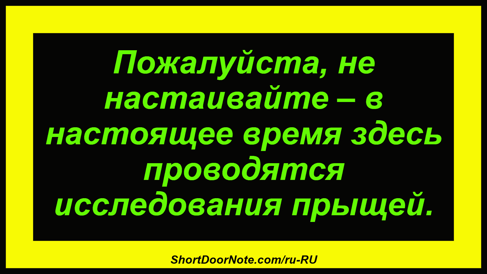 Пожалуйста, не настаивайте – в настоящее время здесь проводятся исследования прыщей.
