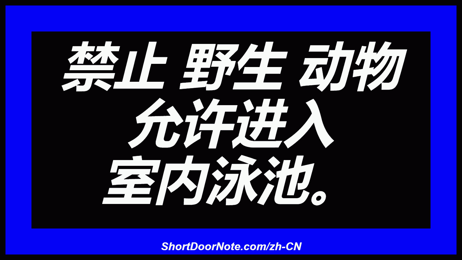 禁止 野生 动物 允许进入 室内泳池。
